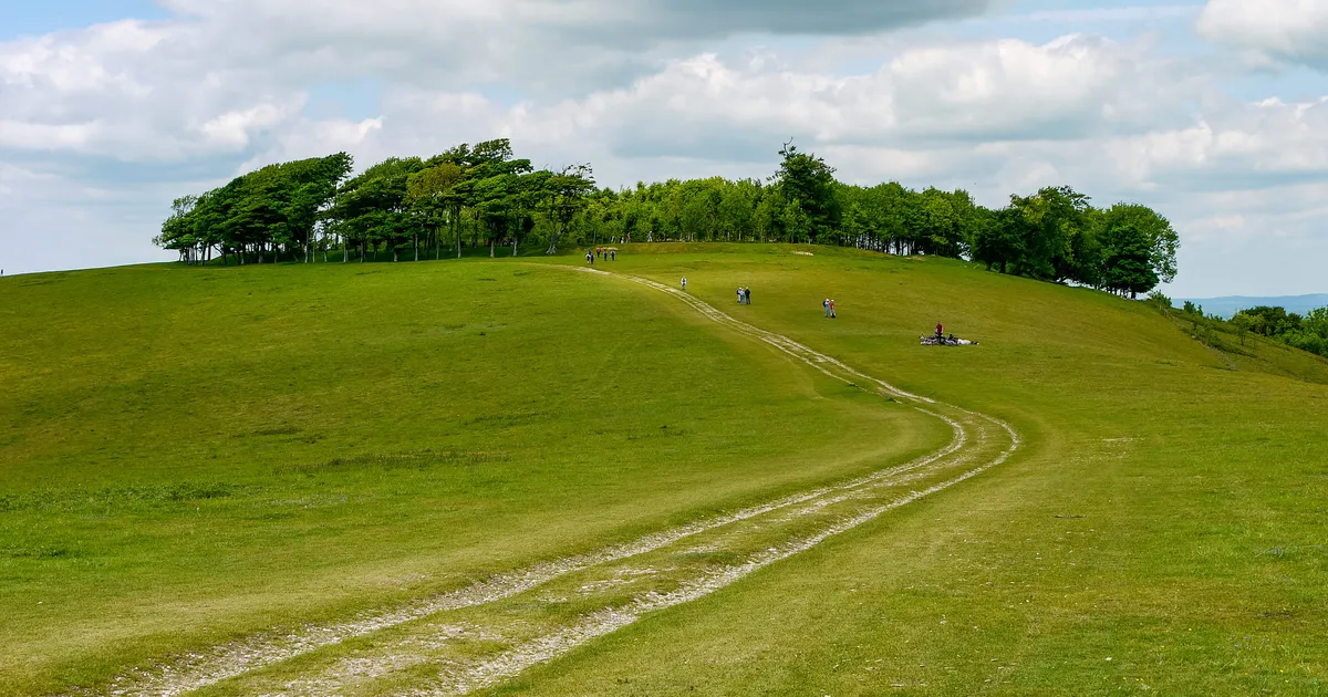 The beech-crowned hilltop of Chanctonbury Ring on the South Downs Way.