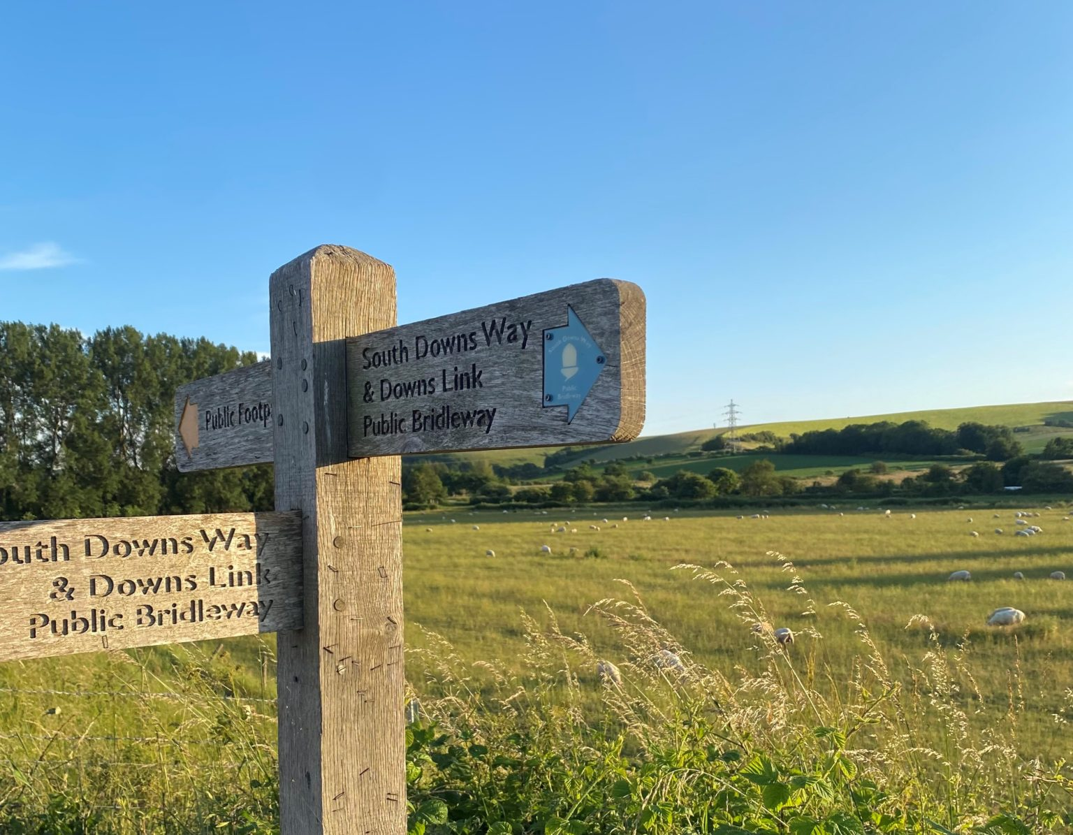A wooden fingerpost on the South Downs Way and Downs Link.